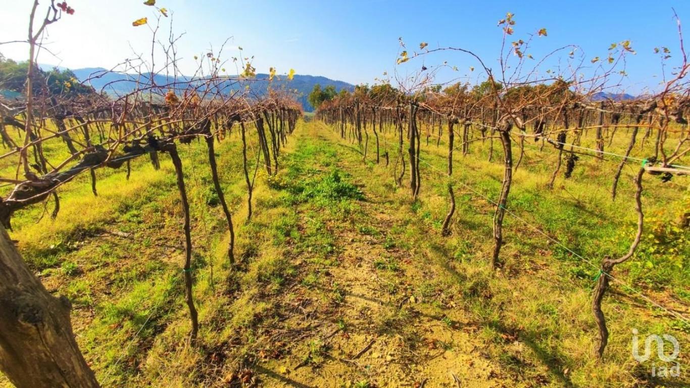 Podere Mona Pomarance Bagian luar foto